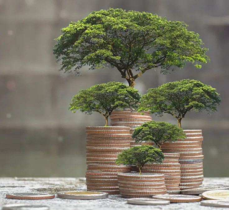 Sustainable finance: a winning combination for decarbonization