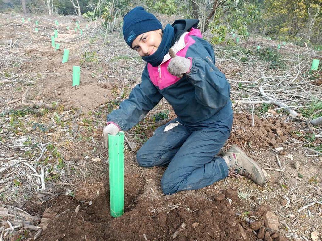 REFORESTACIÓN PORTUGAL