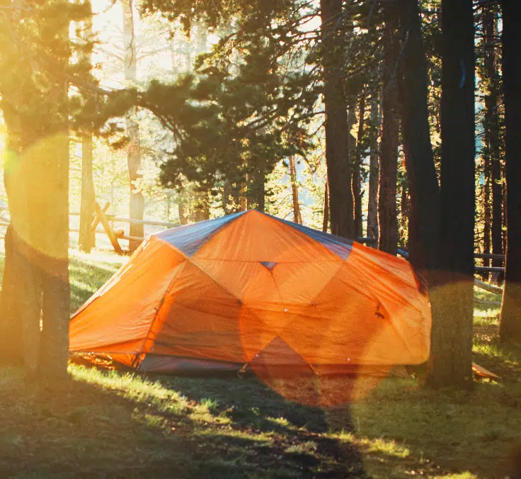 El seguro para campamentos de verano: la mejor protección para los más pequeños