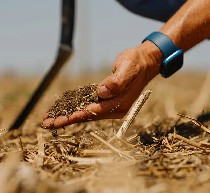 Mapfre offsets approximately 80% of its global footprint with projects to protect biodiversity