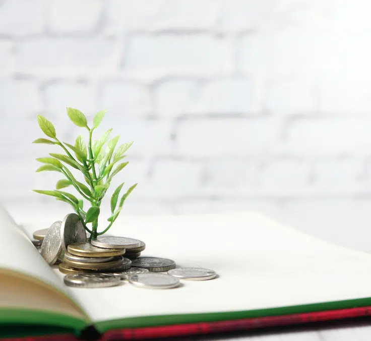 Mapfre lanza un nuevo plan de pensiones con rentabilidad garantizada del 11% a vencimiento