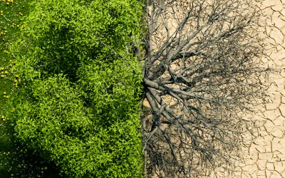 Climate change: extraordinary risks and public policies