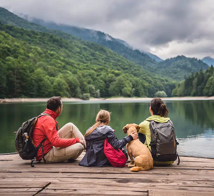 Seguros de vida: un mosaico de coberturas para tu tranquilidad