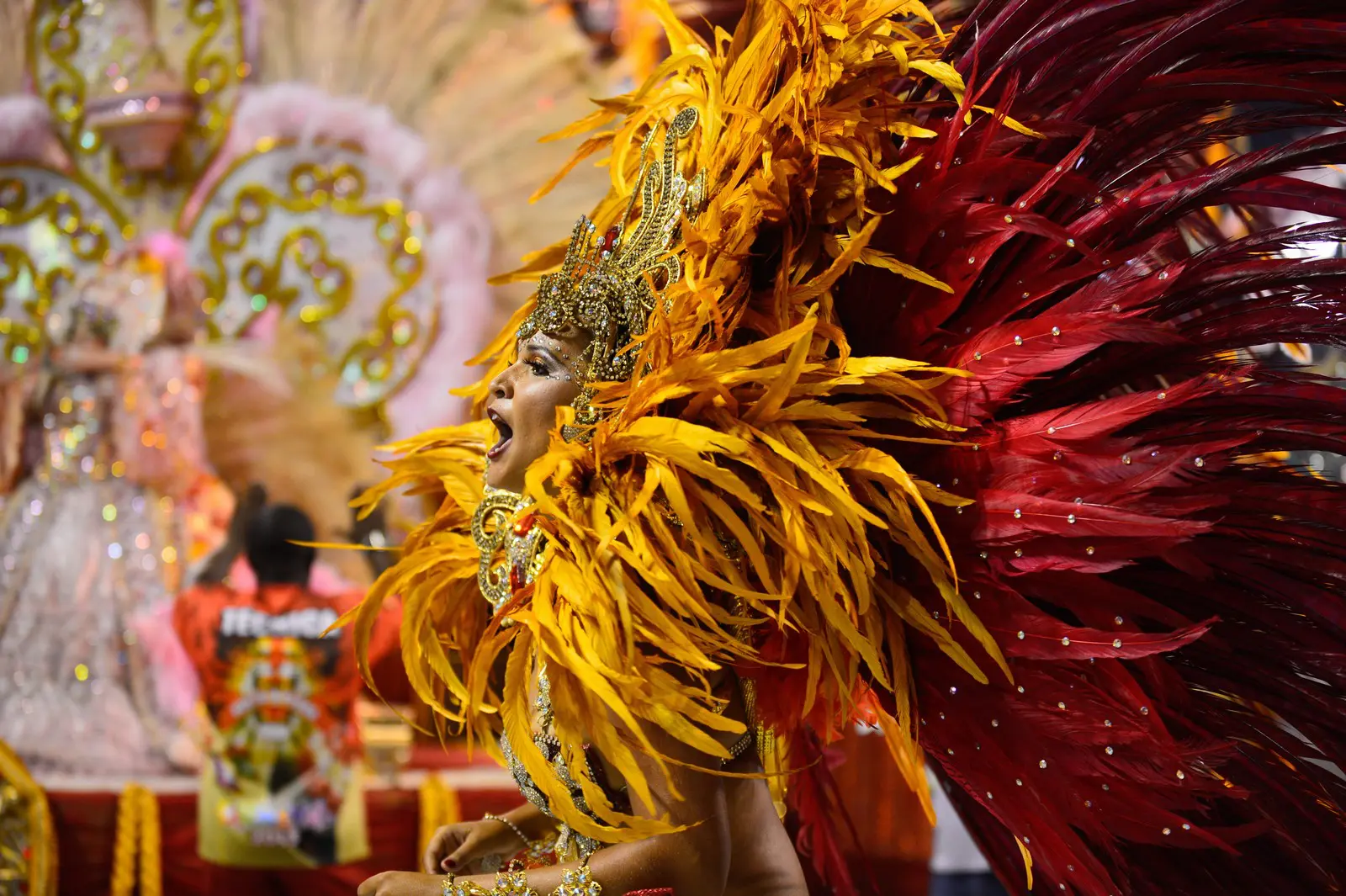 Managing the risks of Carnival