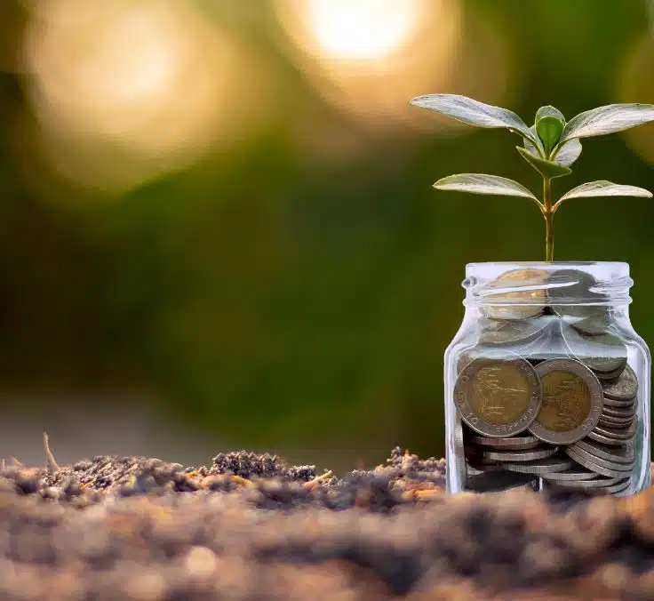 Mapfre incorpora dos nuevas carteras a su unit linked Multifondos Compromiso ESG