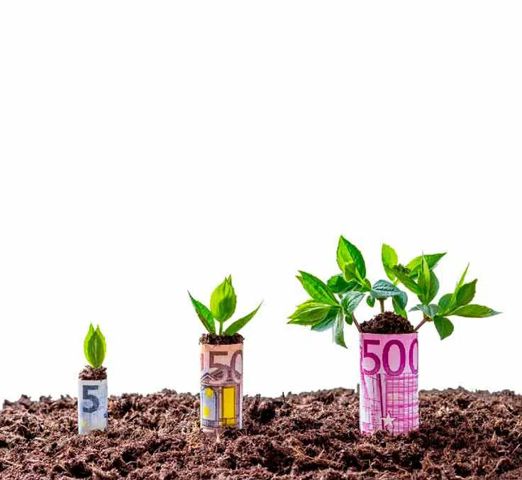 Sustainable investment: Not without the depositary