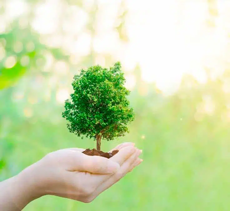 Mapfre AM team awarded international ESG analyst certification