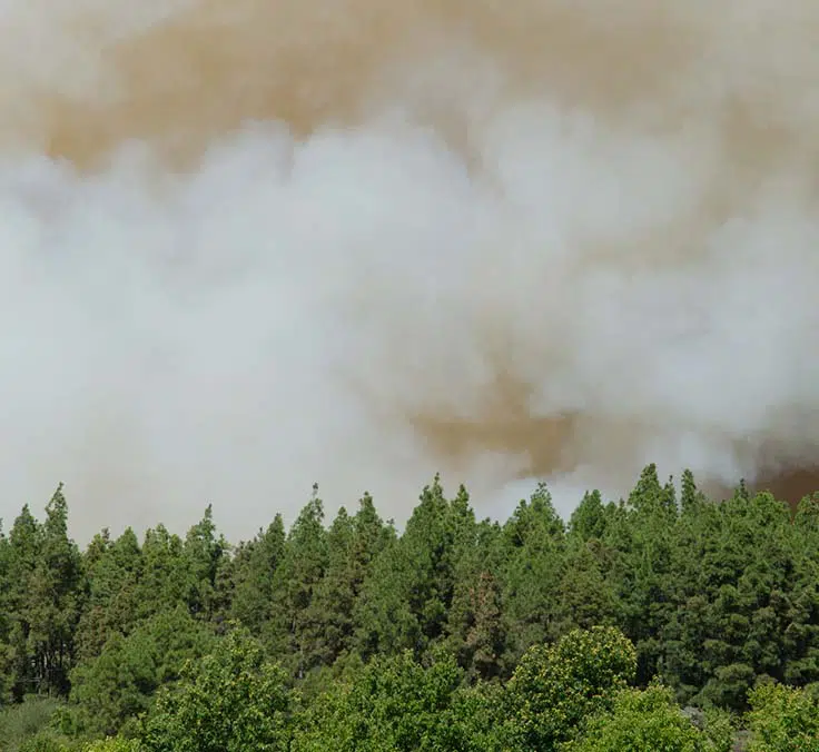 La indemnización de Mapfre al Cabildo de Gran Canaria por los daños del incendio del verano de 2019 alcanzó los 7,3 m €