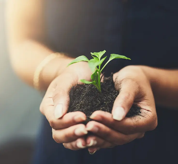 Celebrando cuatro años de trabajo en favor de los ODS
