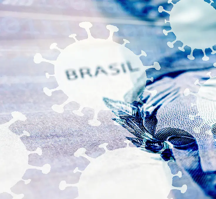Economia brasileira em meio à pandemia – diagnósticos e prognósticos