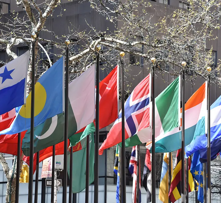 G20 vs. COVID-19