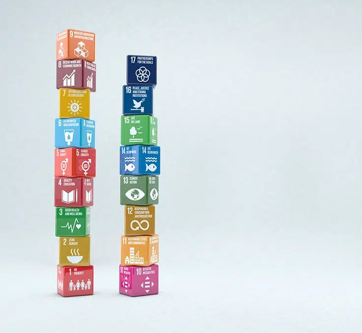 Mapfre’s commitment to the UN’s Sustainable Development Goals