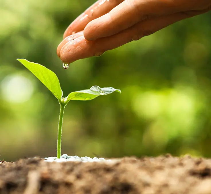 Mapfre cumple 14 años en Indice de Sostenibilidad FTSE4GOOD