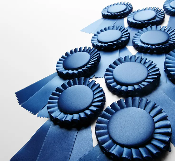 Mapfre ESPAÑA, winner of the 2020 INESE Blue Award for the Finnite project