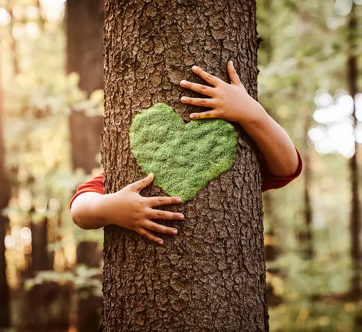 A Mapfre é mais uma vez incluída no índice mundial de Dow Jones Sustainability