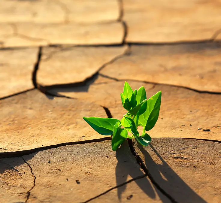 Mapfre collaborates with the UN to assess the impact of climate change on the insurance industry