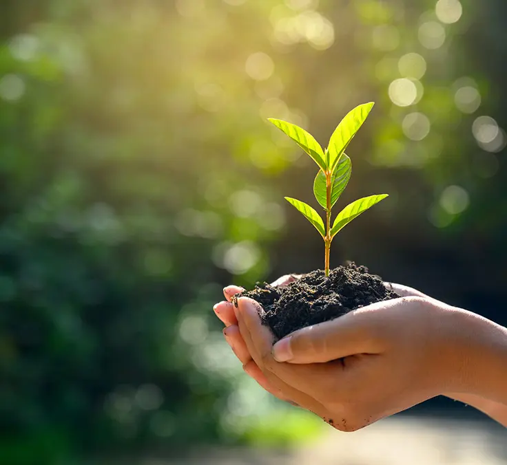 What is the Dow Jones Sustainability Index and what does it measure?