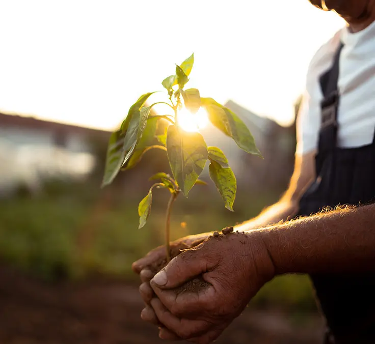 The role of the institutional investor in impact investing