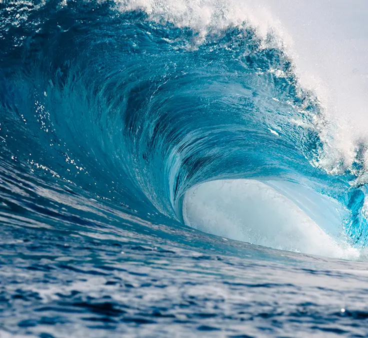 “The best way to ride out the volatility is to invest in diversified, global multi-themes”
