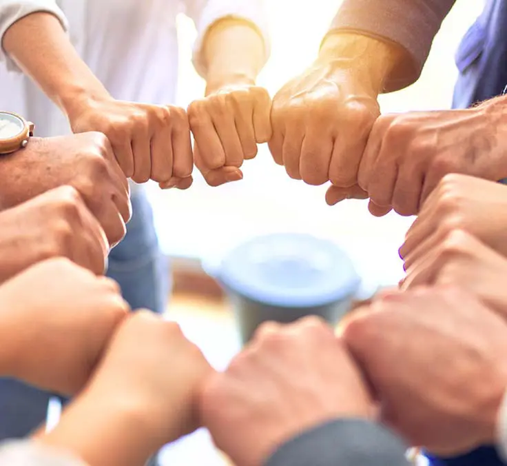 Mapfre reconocida como empresa Top Employers en España
