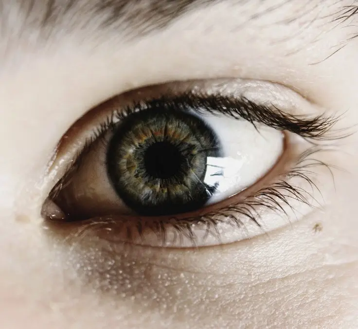 “Nuestra especie se extinguirá si no terminamos con las desigualdades”