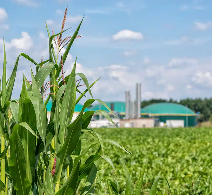 Mapfre recibe el respaldo del ICO para su fondo de biometano