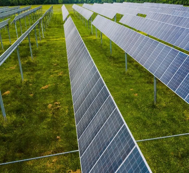 Mapfre, one of the leading companies in reducing emissions