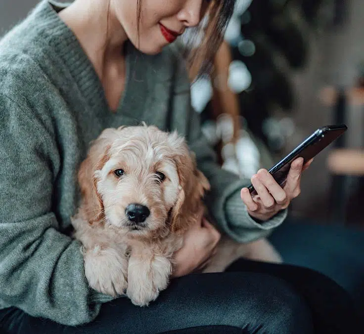 TUCAN, el nuevo dispositivo de Mapfre que permite conocer el estado de tu animal de compañía a través de una APP