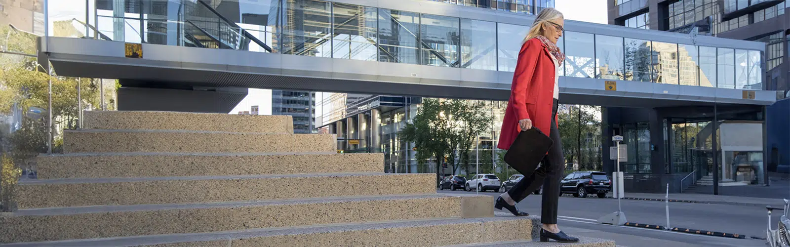 Financial education and culture: key elements in the development of insurance markets