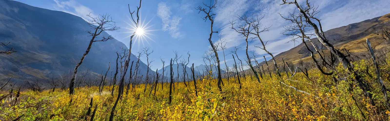 Mapfre renews agreement with Lobelia Earth to analyze impact of climate risks on 16 million customers