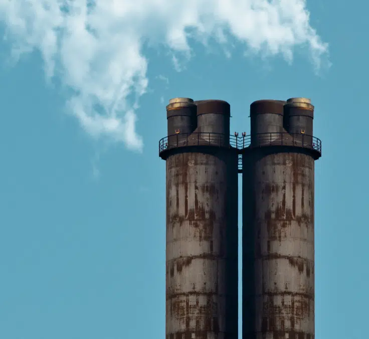 Financial newsletter