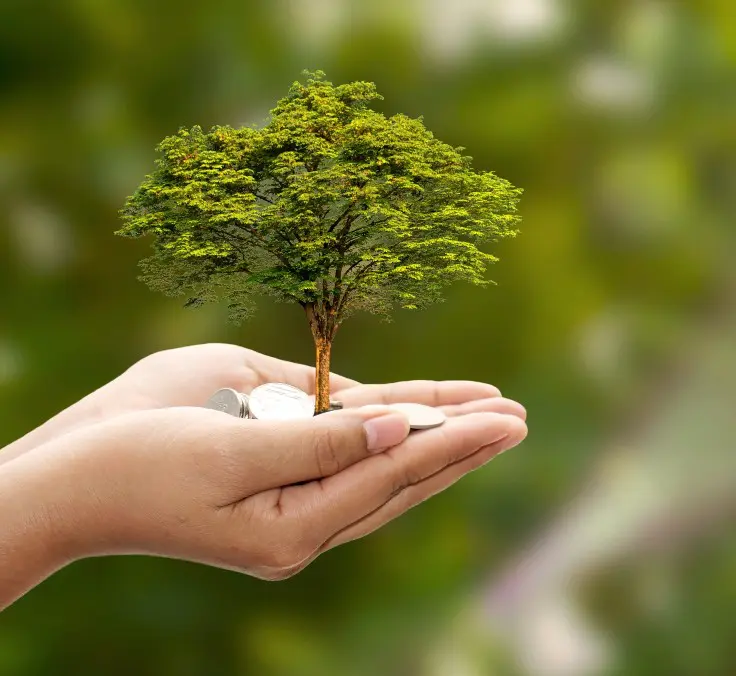 “Central banks and good financial advice have been investors’ best allies”