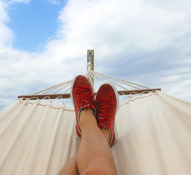 Financial newsletter