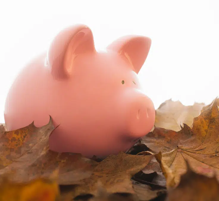 Tips to protect your savings as we head into fall