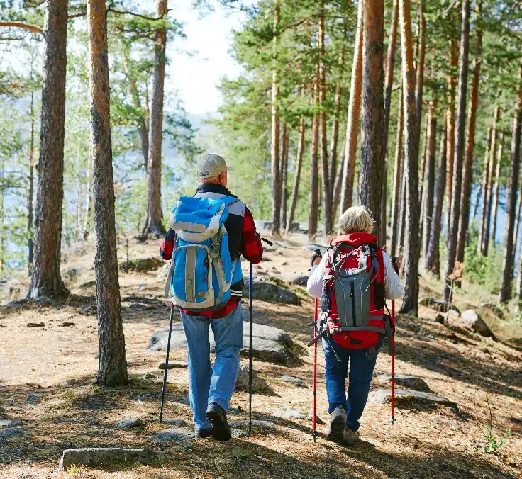 Baños de Bosque: el secreto japonés del bienestar