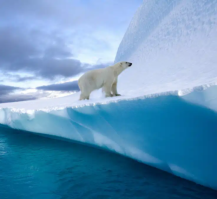 ¿Cómo afectaría un grado de temperatura más al planeta?