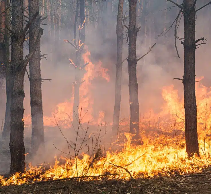 Cambio climático y cibercrimen, entre los riesgos globales más severos