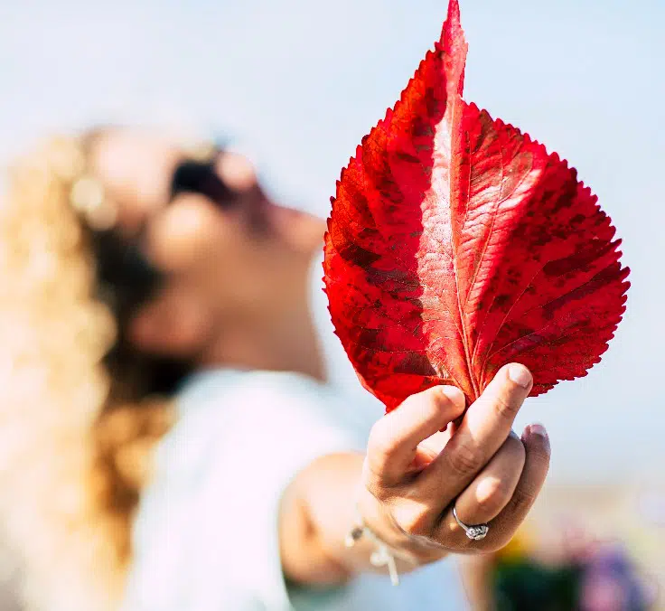 O ambiente influencia de forma decisiva a saúde das pessoas