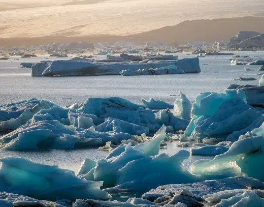 Cambio climático520