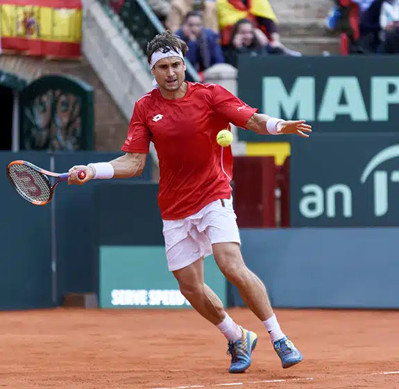 DAVID FERRER