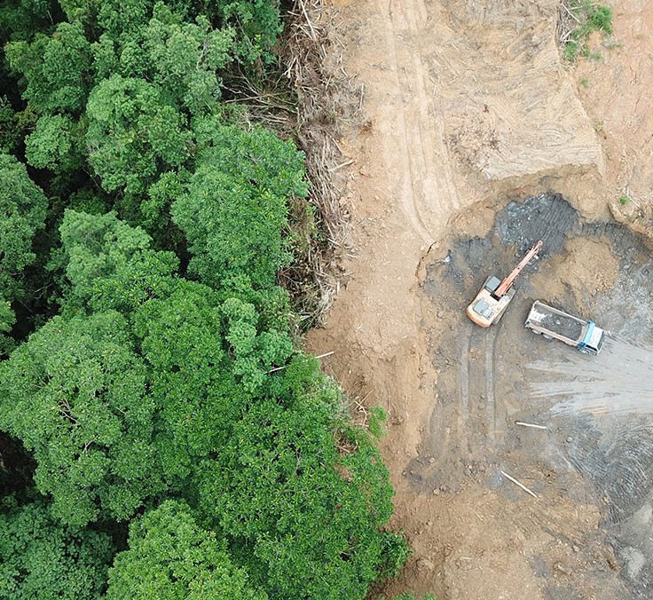 Enrique Segovia/WWF: “Our relationship with nature is broken”