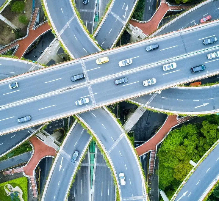 On car free day, pedestrians rule the city
