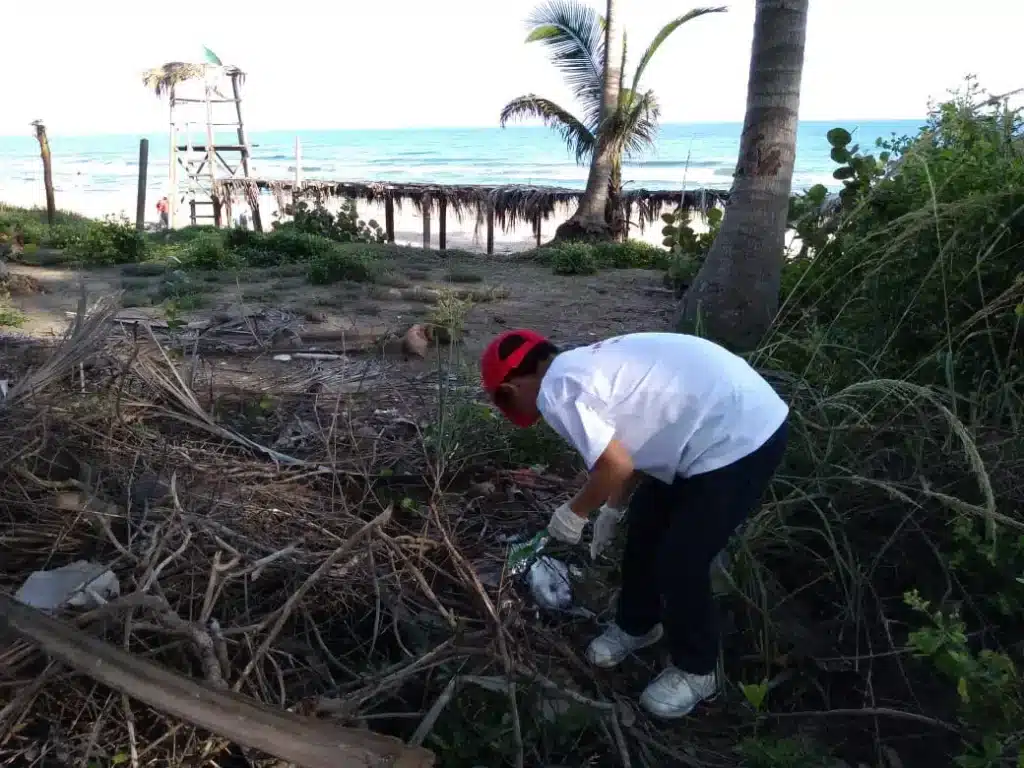 Cleaning of natural spaces