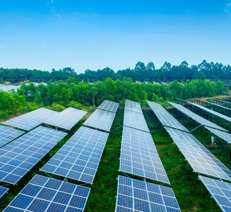 É o momento de que as finanças se comprometam com a economia verde