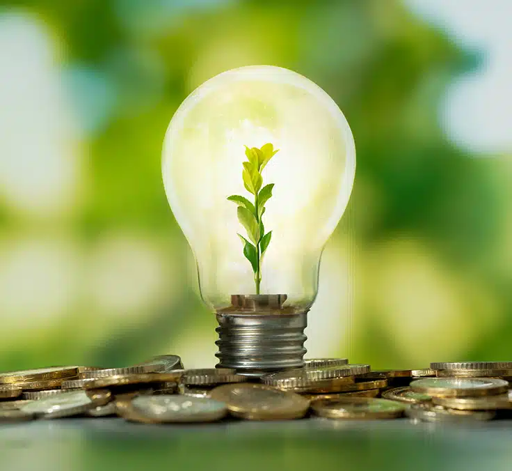 energy efficiency decarbonization