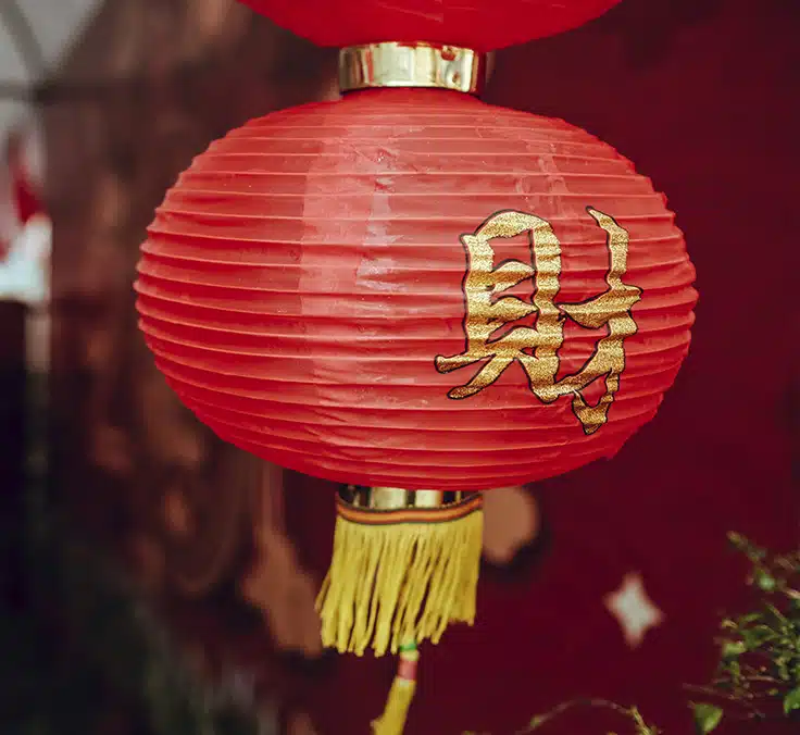 Xi Jinping’s coronation