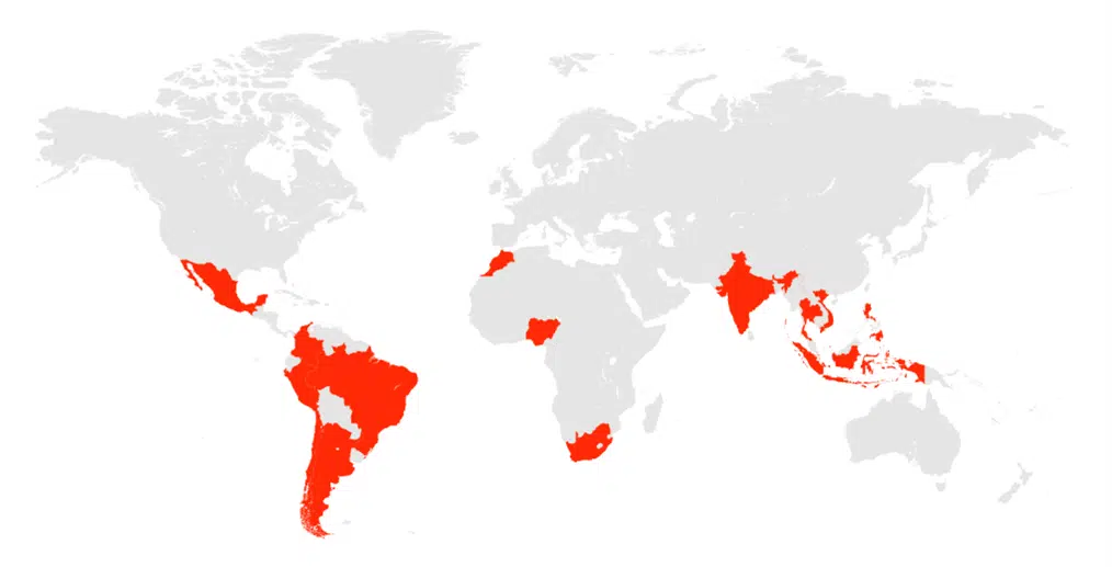 Países emergentes incluidos en el estudio