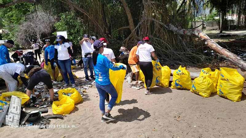 Cleaning of natural spaces