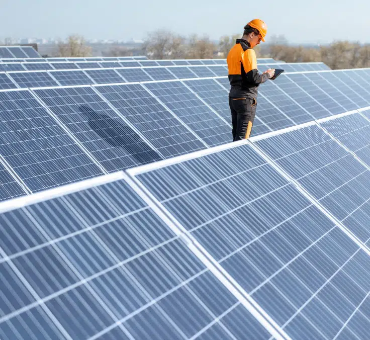 Tele-inspection and remote risk control