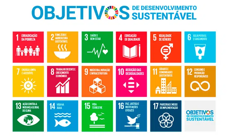 ECONOMIA VERDE